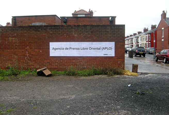 Posters SUBPAIS, Bienal de Liverpool 2010 (3).jpg