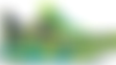 TOP Ranked Running Shoes