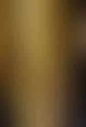 Los Globos de Oro: la gran reunión de Zoom de Hollywood