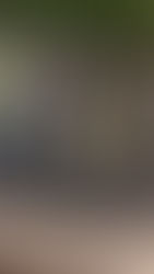 Dictadura Ortega-Murillo congela cuentas bancarias de la principal universidad privada de Nicaragua