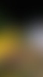 Doloroso despertar en Copán: autobús cayó al río Higuito; cuatro víctimas mortales y 15 heridos