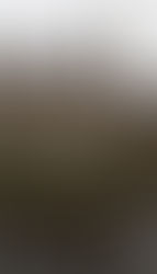 Litigio territorial entre Colombia y Nicaragua: ¿qué esperar?