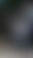 El Conteo Semanal: La guerra contra las pandillas deja 170 muertos y 61 mil detenidos en El Salvador