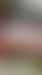 La Asamblea General de la OEA cierra con la mirada puesta en Nicaragua