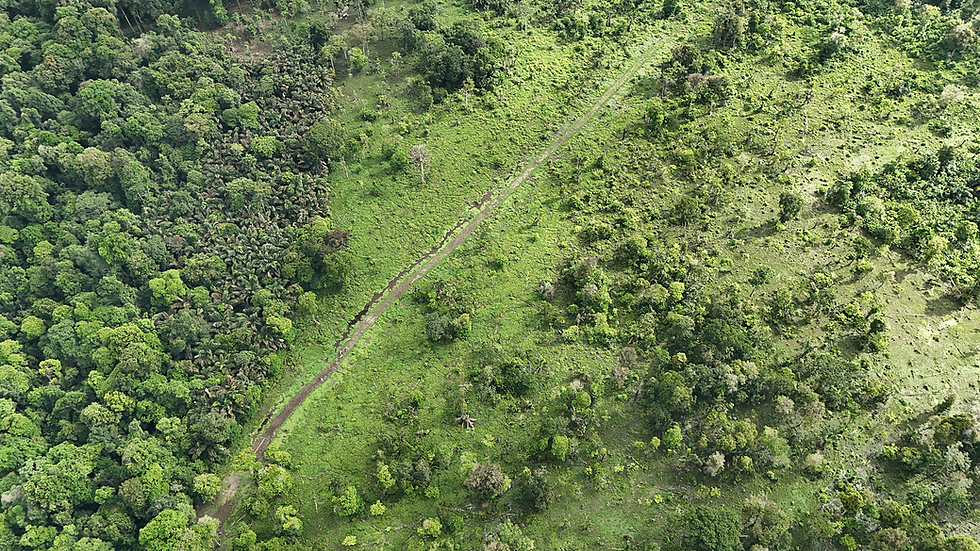 Pista clandestina en el Refugio de Vida Silvestre Gandoca-Manzanillo, en el Caribe sur de Costa Rica | Fotografía de La Nación