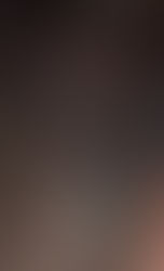 Reveladas las nominaciones para los Premios Emmy 2023