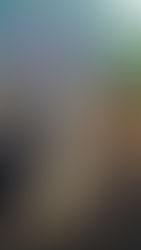 Devastación forestal en Nicaragua: la expansión agrícola y ganadera destruyó el 4.2 % de bosques primarios en el año 2023