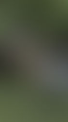 La inseguridad en el campo y su impacto en el sector productivo nicaragüense