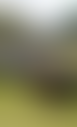 Preso político Mauricio Prieto muere en manos del régimen Ortega-Murillo en Nicaragua, tras más de un mes en desaparición forzada