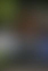 Nicaragua reitera violaciones a normas internacionales con ocupación ilegítima de la sede de la OEA