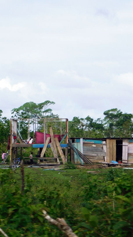 Despojo de bosques y abusos contra pueblos indígenas en Nicaragua no se detienen