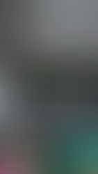 Devastación ambiental y desidia gubernamental. Crónica del incendio que inició el 03 de abril de 2018 en la Reserva Biológica Indio Maíz de Nicaragua