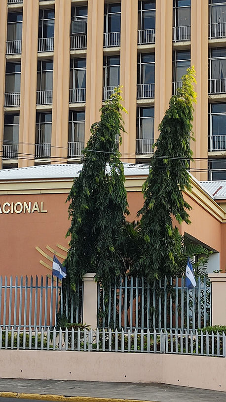 Asamblea de Nicaragua cancela de un golpe a 25 organizaciones sin fines de lucro