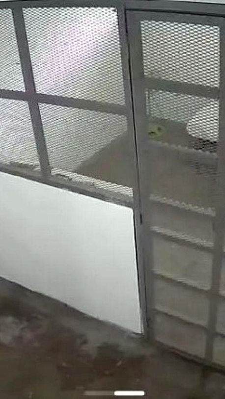 El escándalo hondureño de Koriun Inversiones sigue. Iván Velásquez "va a colaborar" para "recuperar" el dinero de inversionistas