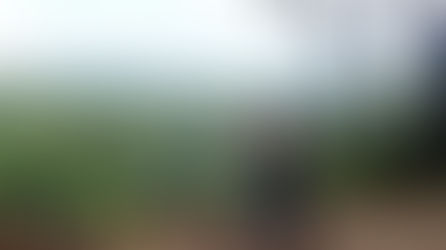 La penitencia de los guardabosques mayangnas de Nicaragua, en la sombra de Bosawás