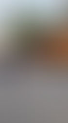 Transportistas paralizan Honduras