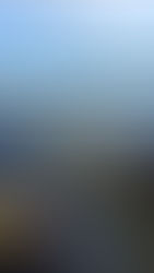 Camaroneros de Puerto Morazán en Chinandega batallan contra grandes empresas