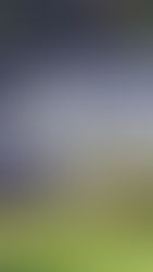 Triple femicidio en Honduras eleva a 12 el número de mujeres asesinadas en los 10 primeros días de 2024, subrayando así la espiral de violencia machista