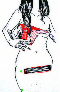 Erotica. Plumilla 2008