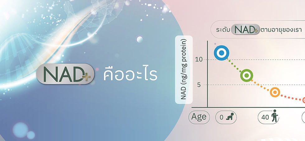 NAD คือ.jpg