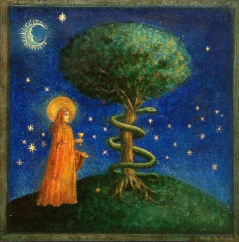 Spiritual Transformation Tarot Break Down 