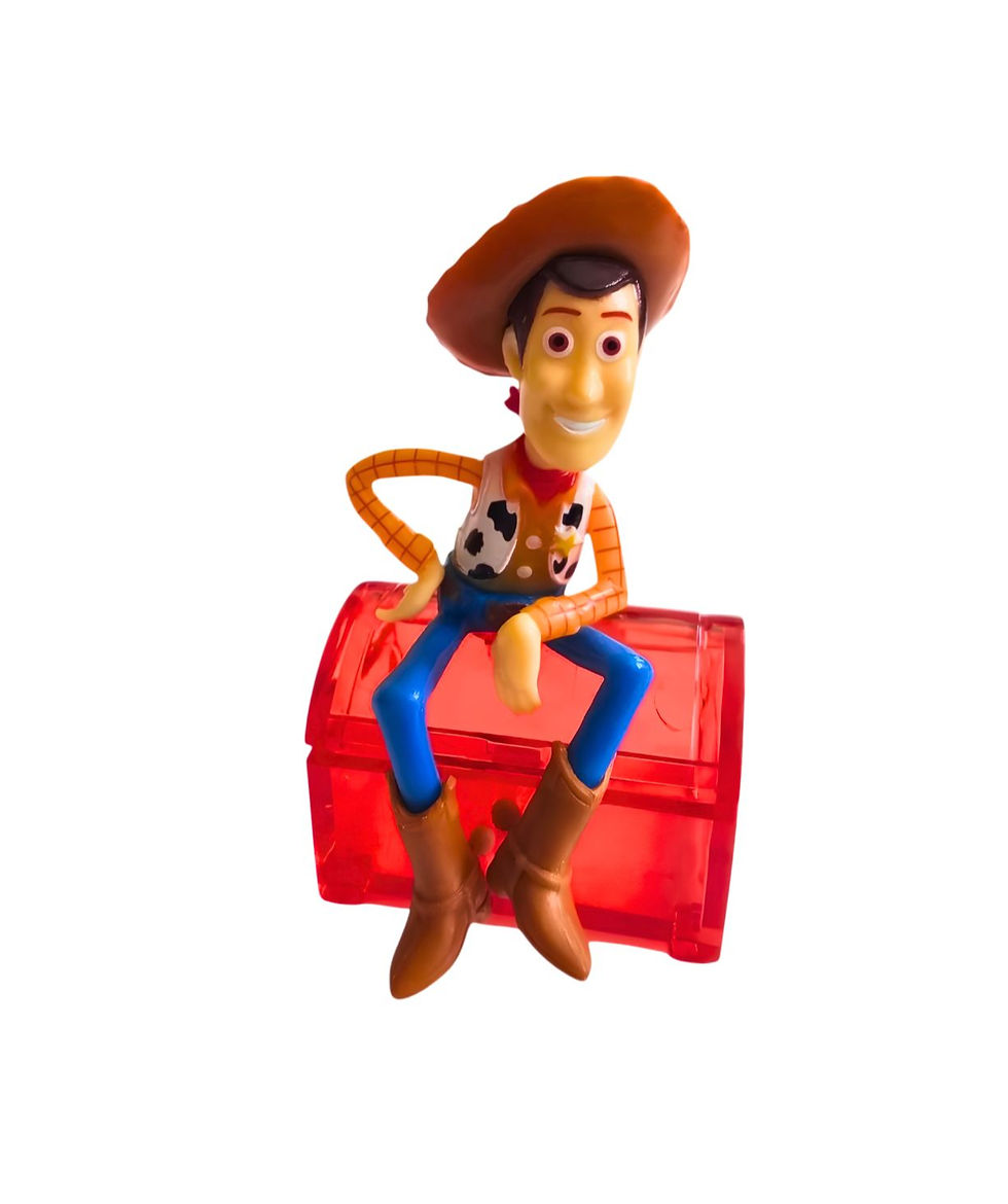 Miniatura: Mini Contenedor Woody Baúl