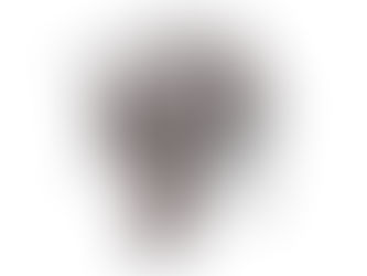 Efeitos do Fentanil no Cérebro