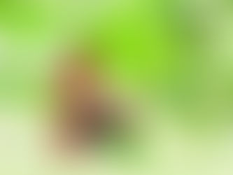 Estudo descobre inibidores naturais e eficazes da C19