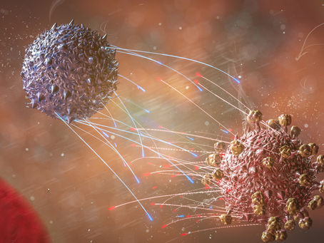 Por que sua imunidade natural contra o COVID é tão durável e como impulsioná-la