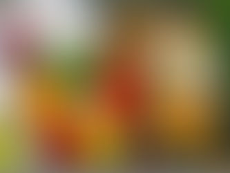 Mudanças na dieta pós-pandemia podem evitar milhões de mortes