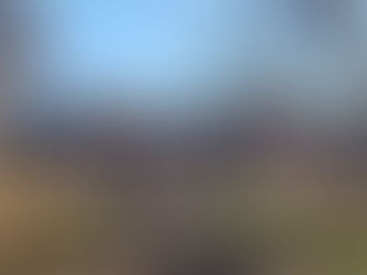 WHAT HAPPENED TO KINGS PARK PSYCHIATRIC CENTER?