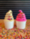 IMG_2100.jpeg