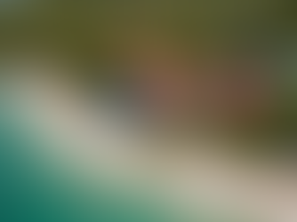 What to Expect in the Purchase Process and After...