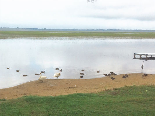 A Primer for Tawas Lake Shoreline Property Owners