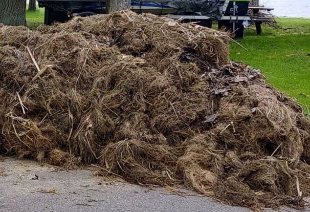 Aquatic Plant Waste Collection