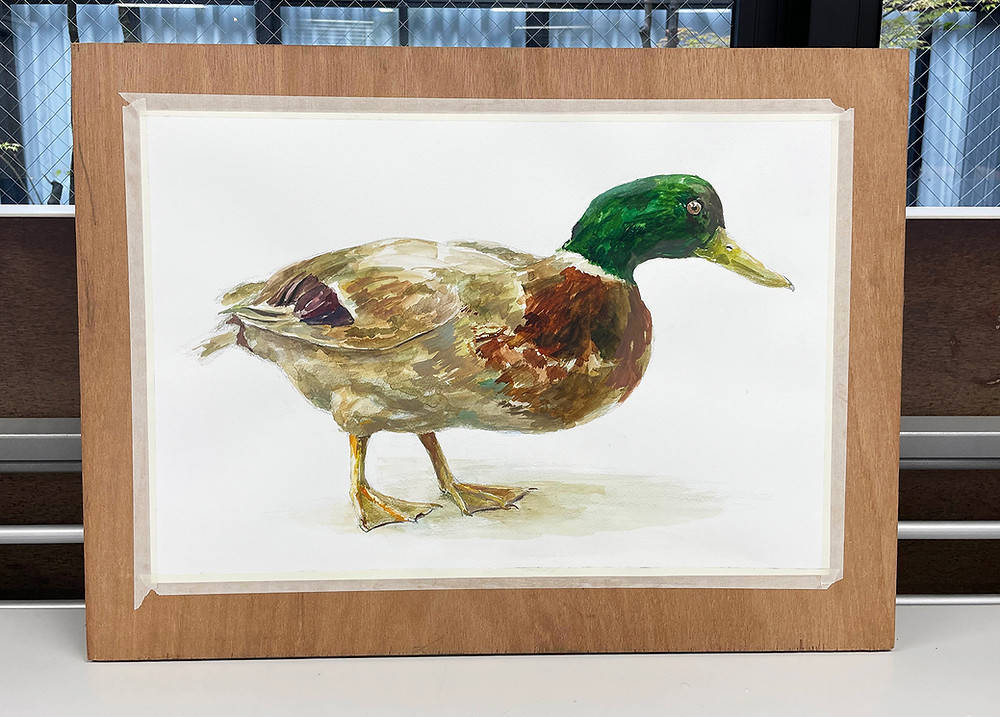 ワークショップレポート