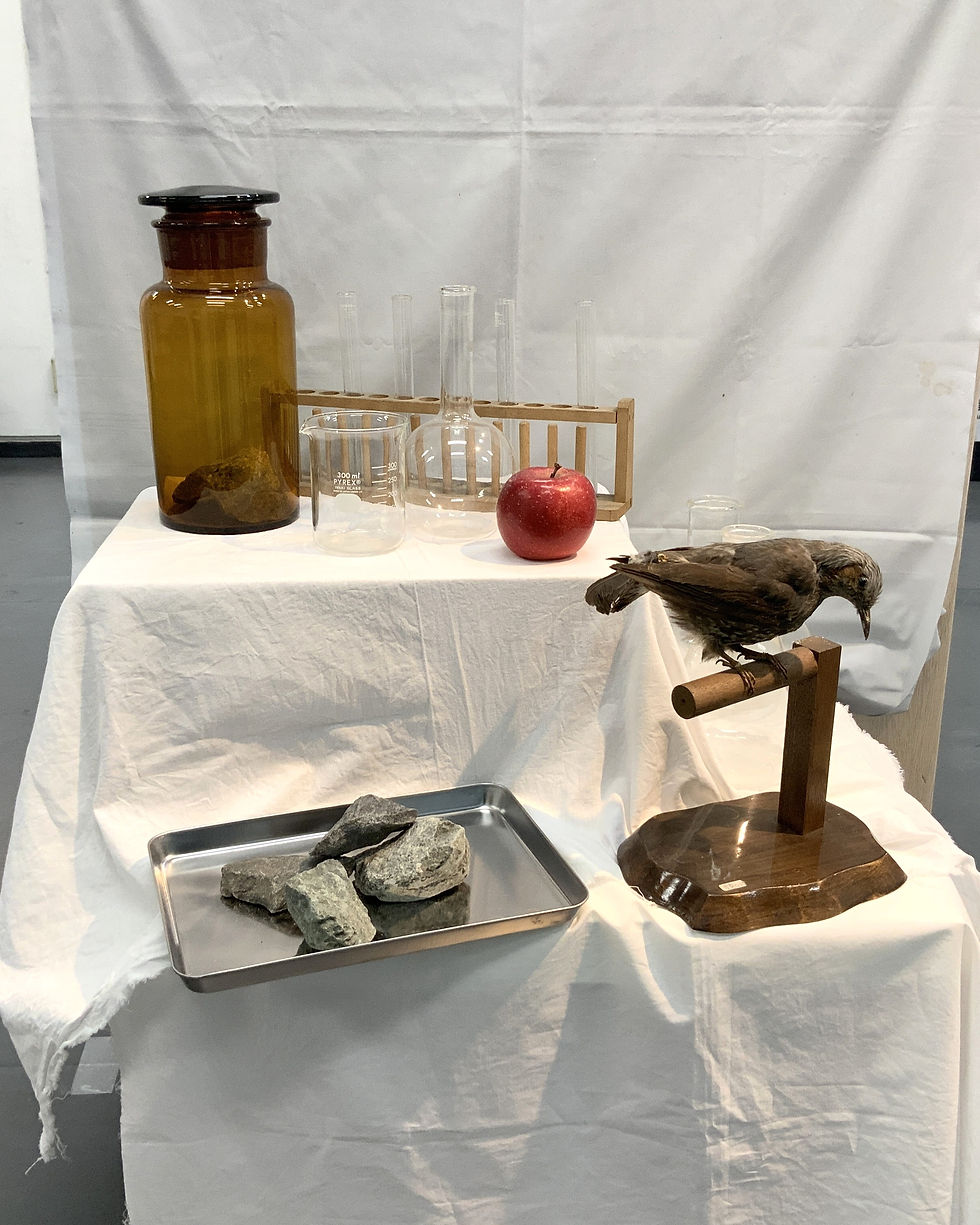 2月上級モチーフ後半