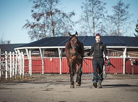 28042021 Oulun hevosklinikka_52A0969.jpg