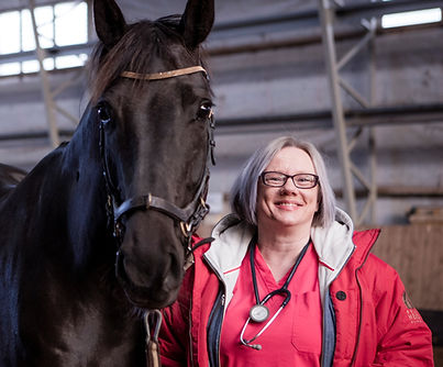 28042021 Oulun hevosklinikka_52A0554 (2)