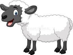 Cartoon sheep