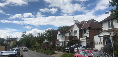 Strawberry Hill(1)
