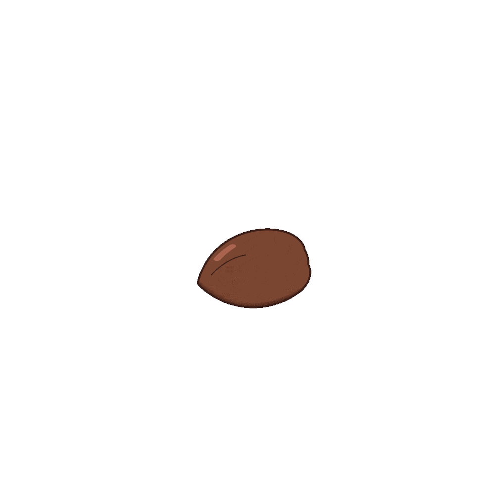 seed and shooting star.gif