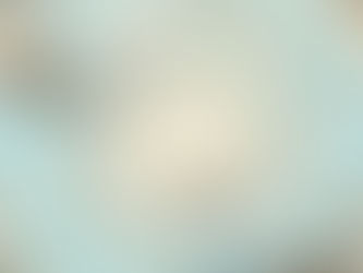 מיפוי הבלתי נודע