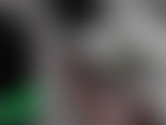 שילוב של Leica Cyclone FIELD 360 ו-BLK2GO