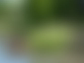 כיצד הדינוזאורים של קריסטל פאלאס קמים לתחייה באמצעות טכנולוגיות מתקדמות