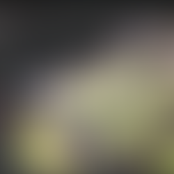 הכנסייה הבלתי גמורה בברמודה