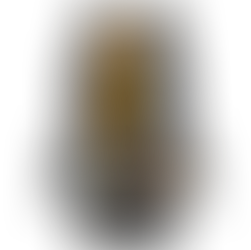 CHCNAV CTS-A100
