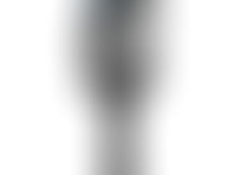 Xgrids Lixel K2