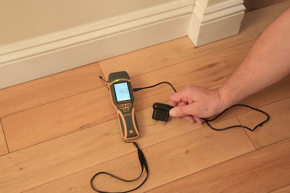 Thumbnail: Protimeter Surveymaster