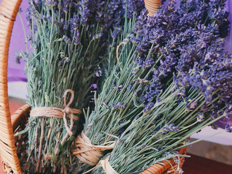 Benefits of Lavender Oil